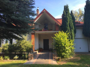 Willa Tini Sauna Basen, Goscino